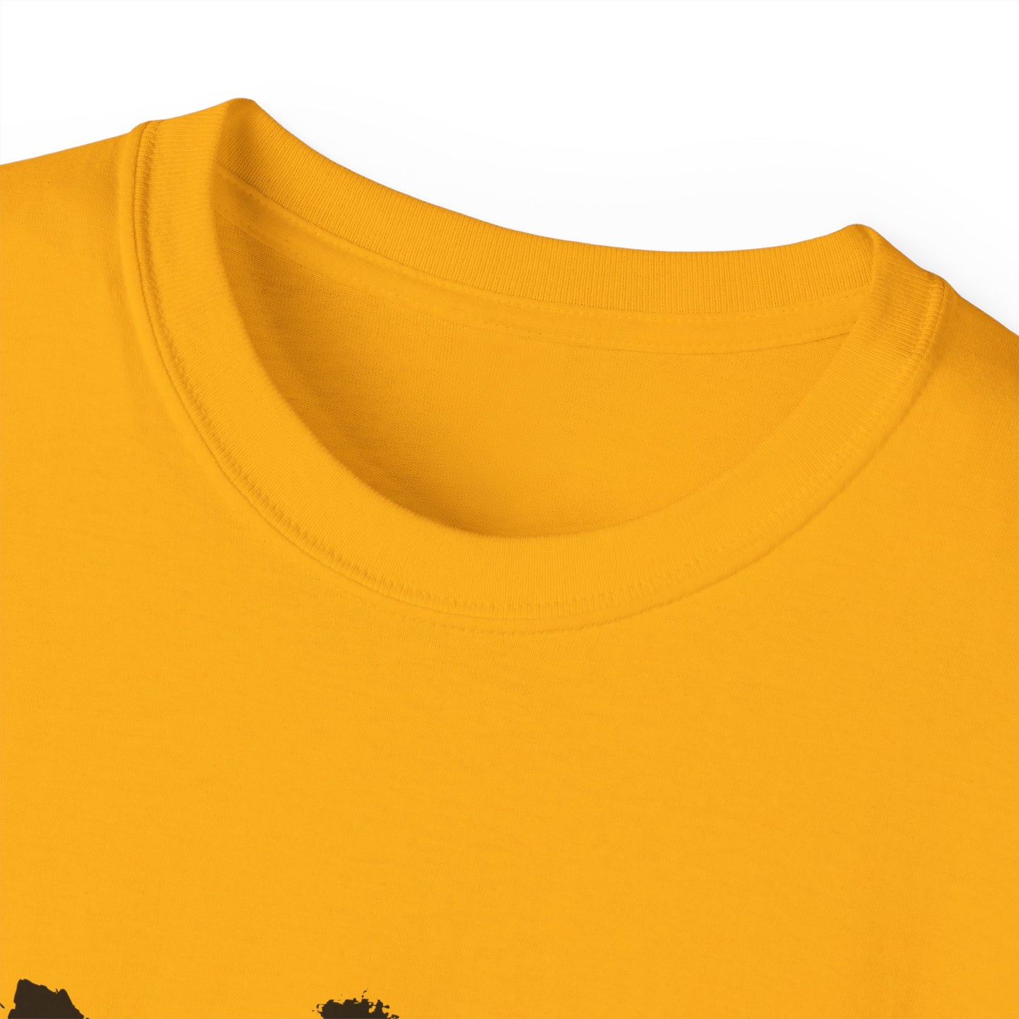 No Kings Somerset County Indivisible