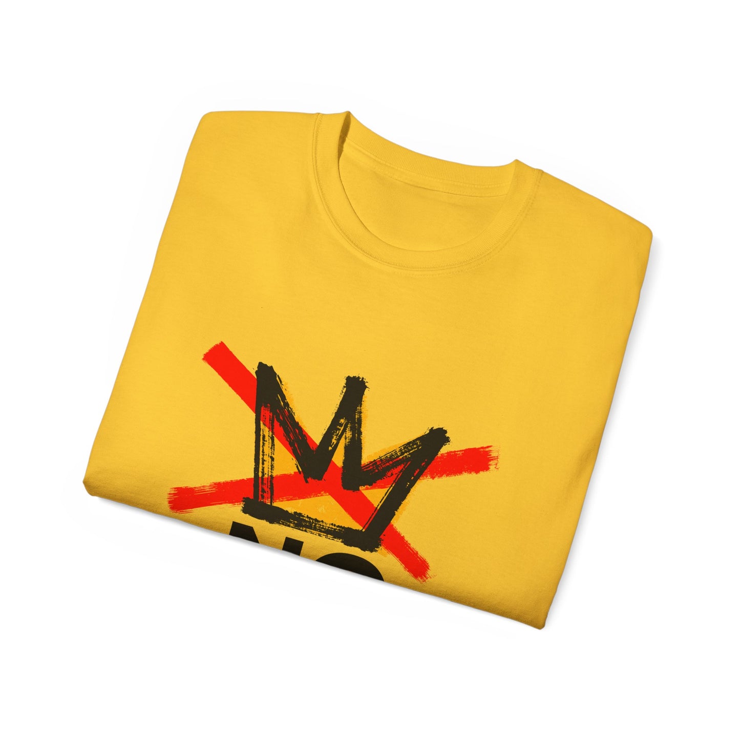 No Kings Somerset County Indivisible