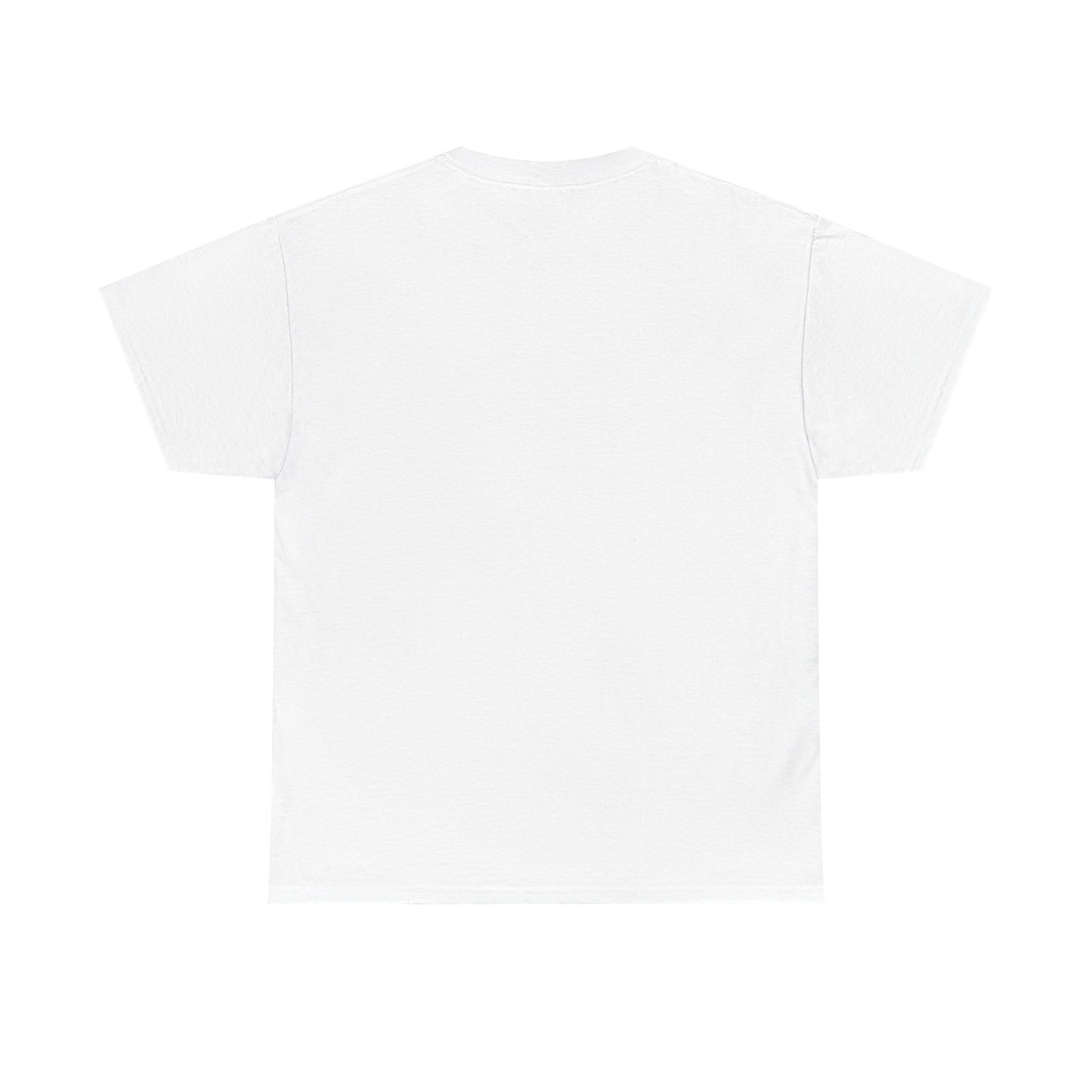 Somerset Indivisible Rainbow Unisex Heavy Cotton Tee