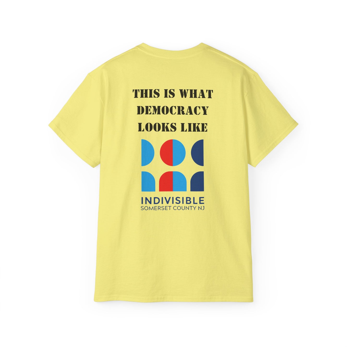 No Kings- What Democracy Looks Like