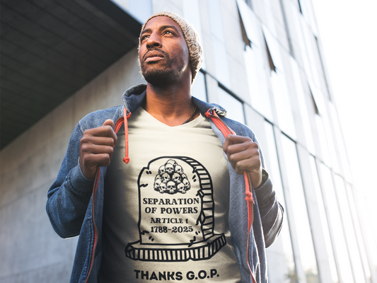 RIP Separation of Powers Unisex Softstyle T-Shirt