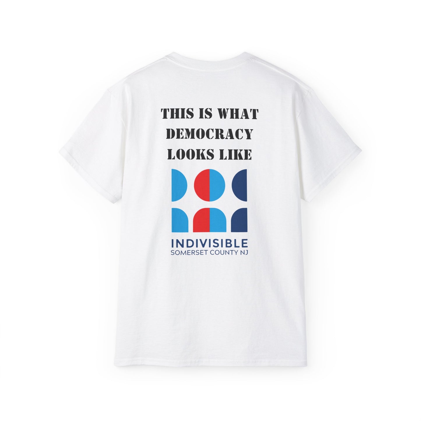 No Kings- What Democracy Looks Like