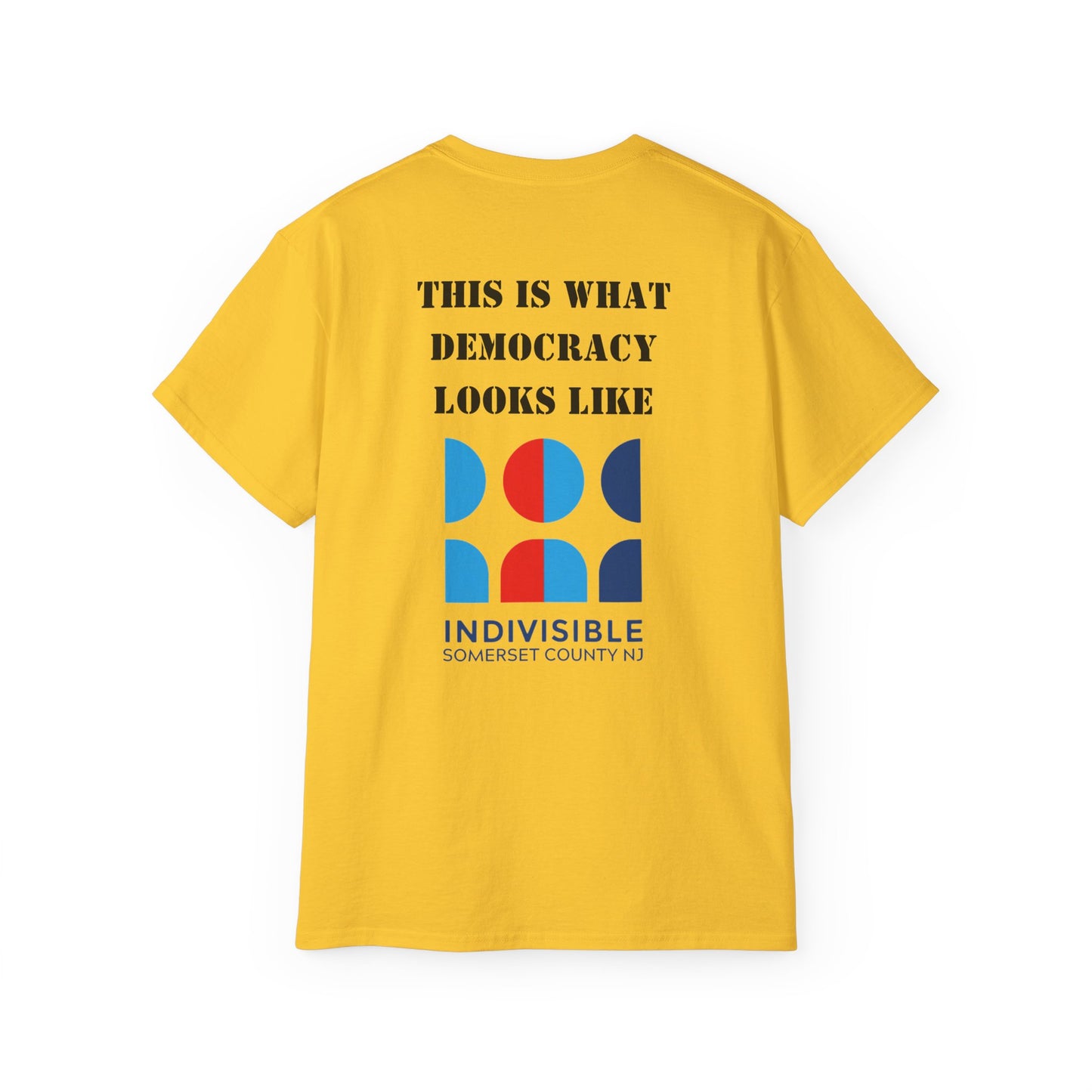 No Kings- What Democracy Looks Like