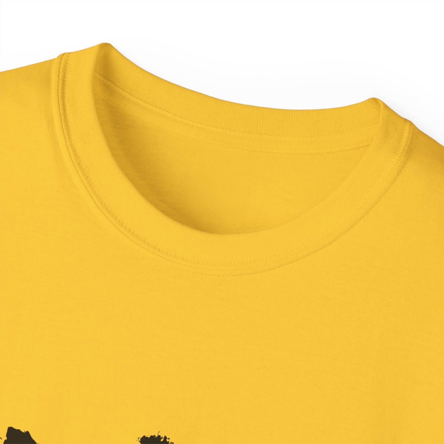 No Kings- What Democracy Looks Like