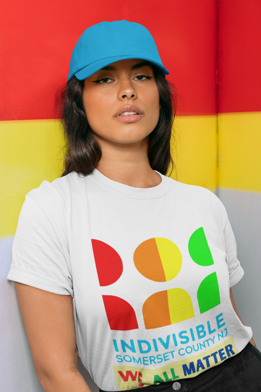 Somerset Indivisible Rainbow Unisex Heavy Cotton Tee